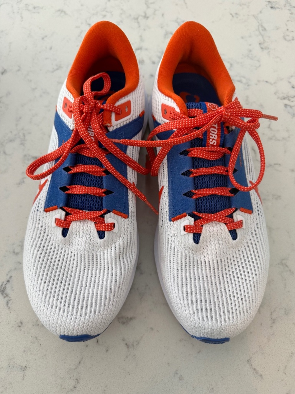 Nike zoom pegasus 40 Florida gators